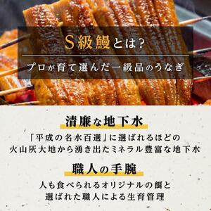 【厳選】横山桂一さんのS級 鰻　うなぎ 長蒲焼き大５尾（計750g以上）| うなぎ