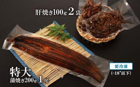 鹿児島県大隅産　特大 うなぎ 蒲焼 200g 1尾・鰻 の 肝焼き 100g×2袋 セット｜うなぎ