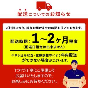 【数量限定】鹿児島県産 うなぎ 長蒲焼 6尾(約100g×6尾)|うなぎ