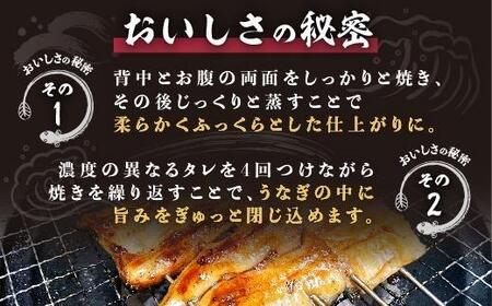 くすだ屋のうなぎ長蒲焼き2尾　約170g×2　計340g　鰻 国産 うなぎ蒲焼き うな重 ひつまぶし ウナギ  蒲焼  人気  おすすめ  鹿児島県 鹿屋市 鹿屋 の近く 大崎町 大隅半島 V628 