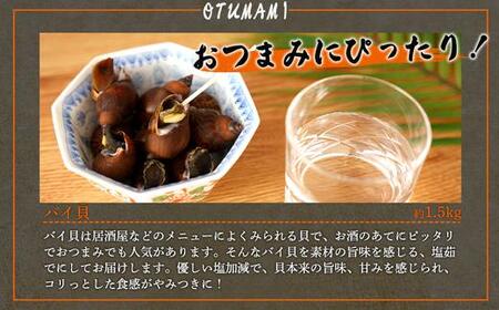 やみつき バイ貝の塩茹で 1.5kg