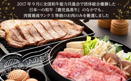 鹿児島黒牛サーロインステーキ（2枚）・すきやきセット（1kg）（E-301）