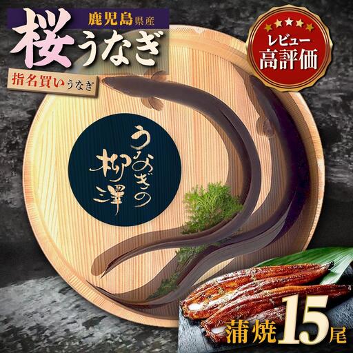 うなぎ の柳澤 うなぎ 蒲焼15尾（計2.55kg）