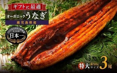 泰正オーガニックうなぎ蒲焼　特大3尾