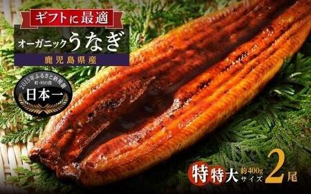 【数量限定】泰正オーガニックうなぎ蒲焼　特特大2尾合計400g以上　鰻 かばやき ウナギウナギウナギウナギウナギウナギウナギウナギ