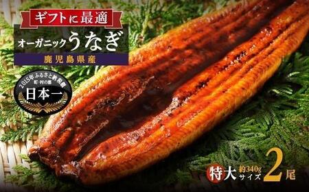 泰正オーガニックうなぎ蒲焼　特大2尾