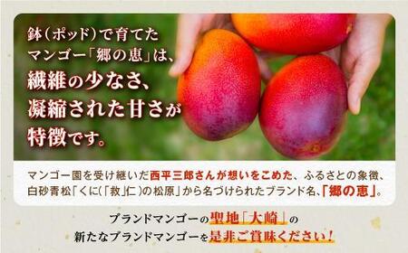 【訳あり】 1.5kg 大崎完熟マンゴー「郷の恵（さとのめぐみ）」加工用マンゴー（糖度10度前後）