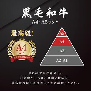 鹿児島県産和牛サーロインステーキ（4等級以上）200g×4枚