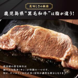 鹿児島県産和牛サーロインステーキ（4等級以上）200g×4枚