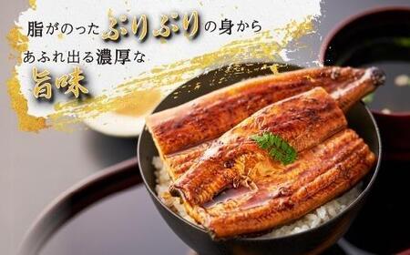 高評価☆4.9 国産うなぎ長蒲焼4尾 数量限定 たれ山椒たっぷり8袋付 国産うなぎ蒲焼 うな重 ひつまぶし おおさきうなぎ 人気 おすすめ 鹿児島県  大崎町 うなぎ 鰻 ウナギ 大隅半島 リピート 特上 | 鹿児島県大崎町 | ふるさと納税サイト「ふるなび」