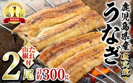 東串良町のうなぎ炭火白焼(無頭)(2尾・計約300g・タレ、山椒付) うなぎ 高級 ウナギ 鰻 国産 白焼き 鹿児島 ふるさと 人気【アクアおおすみ】【0174320a】