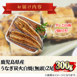 東串良町のうなぎ炭火白焼(無頭)(2尾・計約300g・タレ、山椒付) うなぎ 高級 ウナギ 鰻 国産 白焼き 鹿児島 ふるさと 人気【アクアおおすみ】【0174320a】