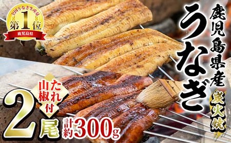 東串良町のうなぎ炭火蒲焼、白焼(無頭)(2尾・計約300g・タレ、山椒付) うなぎ 高級 ウナギ 鰻 国産 白焼き 鹿児島 ふるさと 人気【アクアおおすみ】【0174321a】