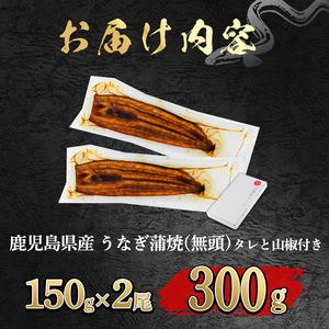 【0124326a-2607】＜土用の丑の日までにお届け＞東串良町のうなぎ蒲焼(無頭)(2尾・計約300g・タレ、山椒付)うなぎ 高級 ウナギ 鰻 丑の日 国産 蒲焼 蒲焼き たれ 国産 九州産 鹿児島県産 ふるさと 人気 【アクアおおすみ】