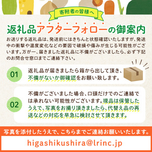 【0503603b】＜定期便・全4回＞自慢の農家×老舗青果店のフルーツ定期便(4回) いちご メロン マンゴー 肥後グリーン 果物 フルーツ 果実 セット【有留青果】