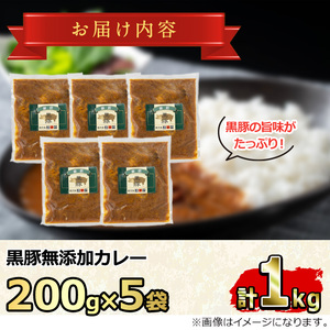 【0135113a】鹿児島黒豚無添加カレー(200g×5P) 黒豚 豚肉 ぶた肉 カレー カレーライス かれーらいす 惣菜【鹿児島ますや】