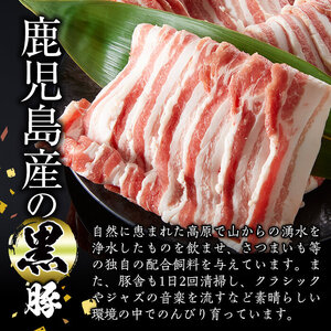 【0113304a】鹿児島黒牛ロースと黒豚ロースの焼肉セット(合計450g・黒牛ロース250g、黒豚ロース200g)国産 牛肉 豚肉 肉 冷凍 ロース 鹿児島 焼肉 BBQ バーベキュー【デリカフーズ】