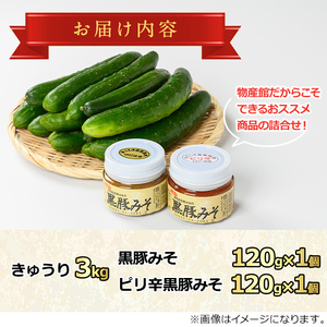 【0105905a】＜期間限定＞朝採れ！新鮮！きゅうり(3kg) と物産館おススメ黒豚みそ(計240g・120g×2種) セット キュウリ 採れたて 野菜 鹿児島黒豚 【東串良物産館ルピノンの里】