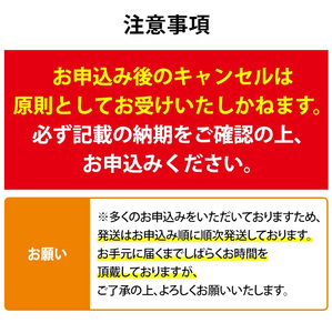 【0124314a-2412】＜年内にお届け予定＞東串良町のうなぎ蒲焼(無頭)(2尾・計約300g・タレ、山椒付) うなぎ 高級 ウナギ 鰻 国産 蒲焼 蒲焼き たれ 鹿児島 ふるさと 人気【株式会社アクアおおすみ】