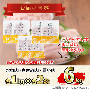 鶏肉 ＜2026年3月発送予定＞ 国産 若鶏 ヘルシーセット (合計6kg) ムネ ささみ 肩小肉 むね肉 【エビス】 【0124806a-2603】 鶏肉