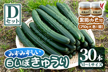 鹿児島県産 みずみずしい白いぼきゅうりを豚味噌で味わえるセットd きゅうり30本 黒豚みそ250g 1個 黒豚みそピリ辛250g 1個 吉ヶ崎農園 鹿児島県東串良町 ふるさと納税サイト ふるなび