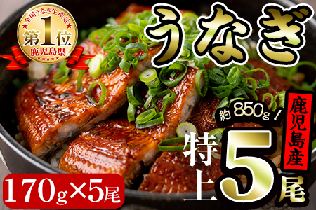 【30655】鹿児島県産!地下天然水で育てた特上うなぎ850g(170g×5尾タレ・山椒付き)1尾ずつ真空パックで!【財宝】