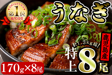 【50656】鹿児島県産!地下天然水で育てた特上うなぎ1.3kg(170g×8尾タレ・山椒付き)1尾ずつ真空パックで!【財宝】