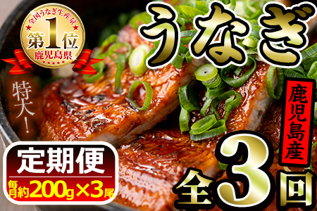【60673】《定期便・全3回お届け》鹿児島県産!地下天然水で育てた特大うなぎ1.8kg(200g×3尾×3回)1尾ずつ真空パックで!【財宝】