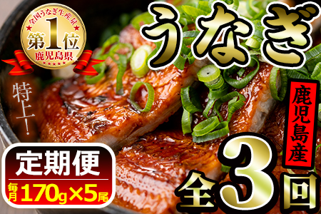 【90669】《定期便・全3回お届け》鹿児島県産!地下天然水で育てた特上うなぎ2.5kg超(170g×5尾×3回)1尾ずつ真空パックで!【財宝】