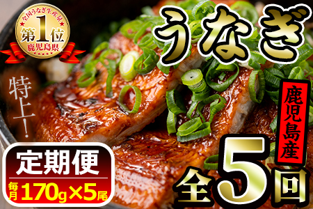 【150670】《定期便・全5回お届け》鹿児島県産!地下天然水で育てた特上うなぎ4.2kg超(170g×5尾×5回)1尾ずつ真空パックで!【財宝】