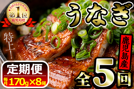 【250672】《定期便・全5回お届け》鹿児島県産!地下天然水で育てた特上うなぎ6.8kg(170g×8尾×5回)1尾ずつ真空パックで!【財宝】