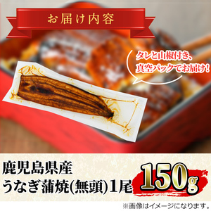 ＜数量限定・宅配袋発送＞東串良町のうなぎ蒲焼(無頭)(1尾・約150g・タレ、山椒付) うなぎ 高級 ウナギ 鰻 国産 蒲焼 蒲焼き たれ 鹿児島 ふるさと お試し 【アクアおおすみ】【0074325a】