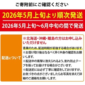 【0325001b】《2026年5月以降発送》＜定期便・全2回＞小玉すいか・ピノ・ガール(2玉×2回・計8kg以上) 果物 果実 フルーツ スイカ ピノガール 数量限定 期間限定 定期便 5月 6月 【宮内農園】