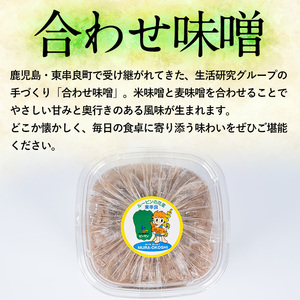 【0095931a】物産館おススメ！東串良町産 懐かしの手作り田舎味噌(合わせ味噌)(計1.8kg・900g×2P) 味噌 みそ 麦みそ 合わせ味噌 合わせみそ 調味料 味噌汁 みそ汁 和食 【東串良物産館ルピノンの里】