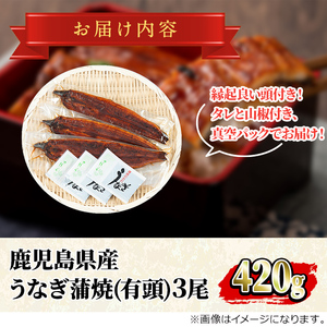 【18720】12月11日までのご入金で年内発送！大隅産うなぎの蒲焼(計約420g・約140g×3尾・有頭)うなぎ 高級 ウナギ 鰻 国産 蒲焼 蒲焼き たれ 鹿児島【永峯うなぎ店】