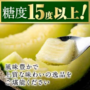 【0281113a-M】＜母の日ギフト・数量限定＞高級アールスメロン(大玉2玉・計3.4kg以上、カーネーション(造花)付) メロン フルーツ 果物 果実 3キロ 数量限定 期間限定 贈答 贈り物 母の日【マル福園芸組合】