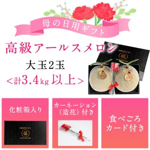 【0281113a-M】＜母の日ギフト・数量限定＞高級アールスメロン(大玉2玉・計3.4kg以上、カーネーション(造花)付) メロン フルーツ 果物 果実 3キロ 数量限定 期間限定 贈答 贈り物 母の日【マル福園芸組合】