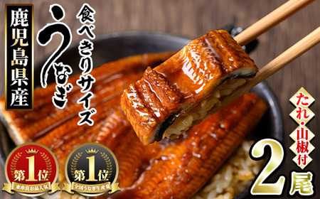 【0074336a】<食べきりサイズ!>東串良町のうなぎ蒲焼(無頭)(計2尾・計約200g・タレ、山椒付) うなぎ 蒲焼長焼 ウナギ 鰻 蒲焼き 国産うなぎ 国産 九州産 鹿児島 鹿児島県産 人気 ランキング 高級 家庭用 おすすめ たれ さんしょう 【アクアおおすみ】