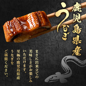 【0074336a】<食べきりサイズ!>東串良町のうなぎ蒲焼(無頭)(計2尾・計約200g・タレ、山椒付) うなぎ 蒲焼長焼 ウナギ 鰻 蒲焼き 国産うなぎ 国産 九州産 鹿児島 鹿児島県産 人気 ランキング 高級 家庭用 おすすめ たれ さんしょう 【アクアおおすみ】