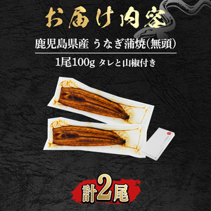 【0074336a】<食べきりサイズ!>東串良町のうなぎ蒲焼(無頭)(計2尾・計約200g・タレ、山椒付) うなぎ 蒲焼長焼 ウナギ 鰻 蒲焼き 国産うなぎ 国産 九州産 鹿児島 鹿児島県産 人気 ランキング 高級 家庭用 おすすめ たれ さんしょう 【アクアおおすみ】