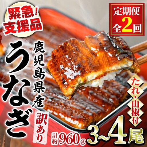【0324302b】＜定期便・全2回＞【緊急支援品】＜訳あり＞鰻の蒲焼き(無頭)(3～4尾×2回・計約960g・タレ、山椒付) うなぎ ウナギ 鰻 国産 蒲焼 蒲焼き たれ 鹿児島 ふるさと 人気 支援 【アクアおおすみ】