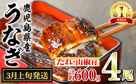 【0264343a-2603】＜3月上旬発送予定＞東串良町のうなぎ蒲焼(無頭)(4尾・計約600g・タレ、山椒付) うなぎ 高級 ウナギ 鰻 国産 蒲焼 蒲焼き たれ 鹿児島 ふるさと 人気 【アクアおおすみ】