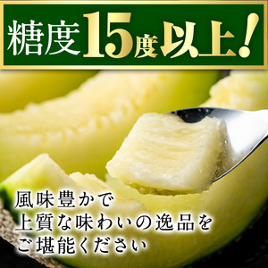 【0281115a-F】＜父の日ギフト・数量限定＞高級アールスメロン(大玉2玉・計3.4kg以上、黄色バラ付(造花)付) メロン フルーツ 果物 果実 1キロ 数量限定 期間限定 贈答 贈り物 父の日【マル福園芸組合】