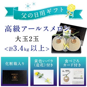 【0281115a-F】＜父の日ギフト・数量限定＞高級アールスメロン(大玉2玉・計3.4kg以上、黄色バラ付(造花)付) メロン フルーツ 果物 果実 1キロ 数量限定 期間限定 贈答 贈り物 父の日【マル福園芸組合】