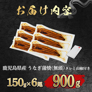 【0304349a-2607】＜土用の丑の日までにお届け＞東串良町のうなぎ蒲焼(無頭)(6尾・計約900g・タレ、山椒付) うなぎ 高級 ウナギ 鰻 国産 蒲焼 蒲焼き たれ 鹿児島 ふるさと 人気 丑の日 【アクアおおすみ】