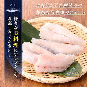 【0065604a】東串良町近海で獲れた白身魚の切り身(4枚・計240g以上) 魚 切り身 白身魚 切身 料理 おかず ご飯 天ぷら フライ ソテー ムニエル 鍋 骨なし 皮なし 【プリモピアット】