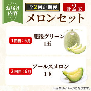 【0203609b】《先行予約受付中！》＜定期便・全2回＞自慢の農家×老舗青果店 メロン食べ比べセット(計2玉) メロン食べ比べセット(計2玉) メロン めろん アールスメロン 肥後グリーン 果物 くだもの フルーツ 果実 セット 詰め合わせ 旬 【有留青果】