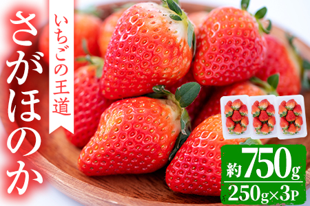 【09768】《数量限定・期間限定!1月上旬~4月上旬の間で発送予定》鹿児島県産!いちごの王道さがほのか約750g(250g×3パック)【牧内農園】