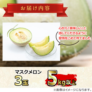 【0322204a】まるまる育った マスクメロン (3玉・計5kg以上) フルーツ 果物 果実 5キロ 数量限定 期間限定【まる美園芸組合】