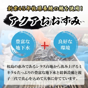 【12821】＜訳あり・不揃い＞東串良町のうなぎ蒲焼(無頭)(3尾・計400g以上、タレ・山椒付)【アクアおおすみ】